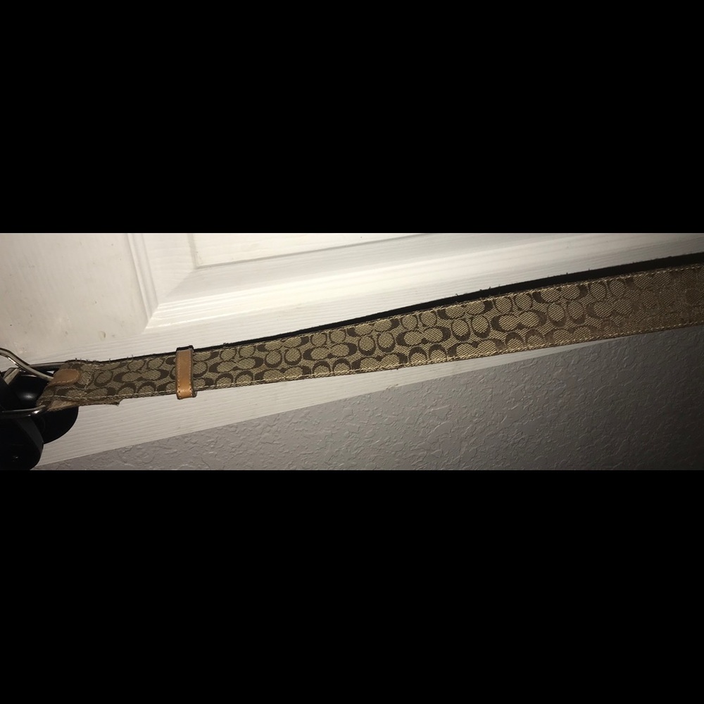 Womens Coach original belt